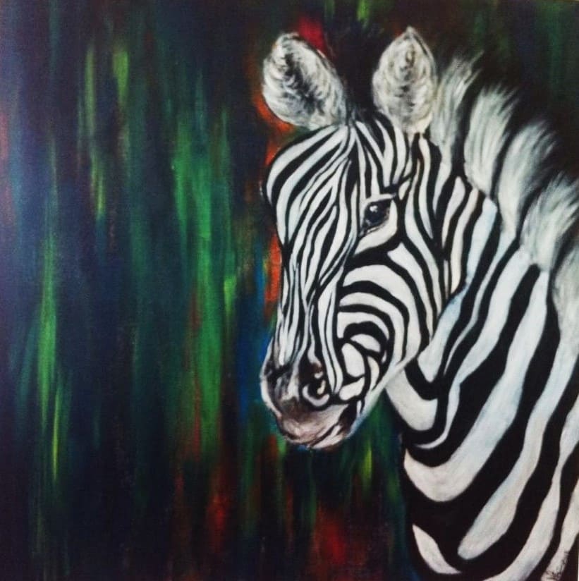 Zebra